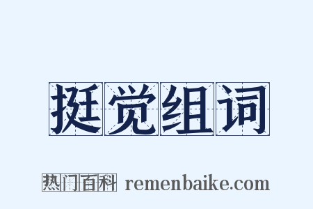 挺觉组词是什么意思的图片